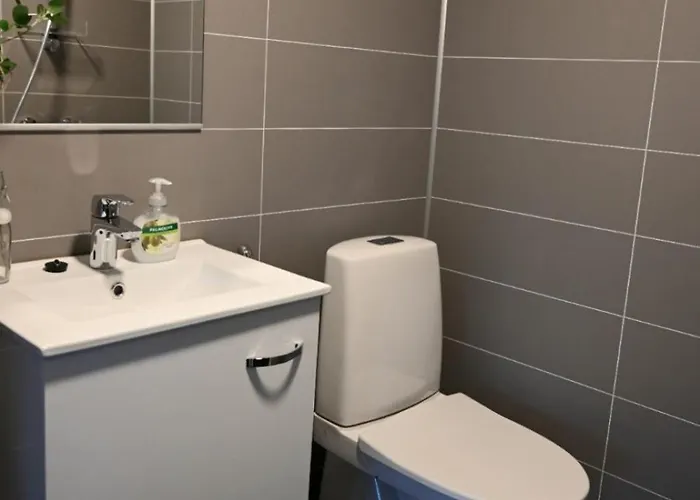 Rauha F Cozy Mini With Sauna & Free Parking Апартаменты Lumijoki